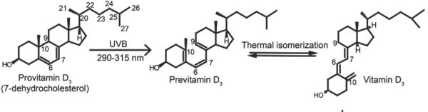 Synthese von Vitamin D3